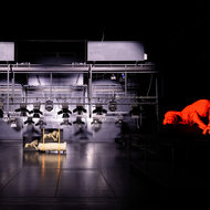 Boring sheep that have been changing the world <em>Photo: Dorian Silec Petek</em>