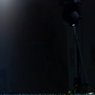 ALONE IN IT S UNIQUENESS <em>Photo: Dorian Silec Petek</em>