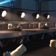 Boring sheep that have been changing the world <em>Photo: Dorian Silec Petek</em>
