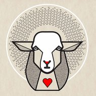 Boring sheep that have been changing the world <em>Photo: jana kumberger</em>