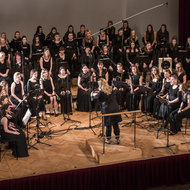 VOGP Music of survival <em>Photo: Urška Lukovnjak</em>