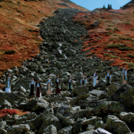 ŽELENE IN NEŽELENE HČERE