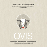 Karmina Šilec: OVIS