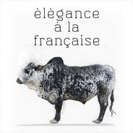 élégance à la française 