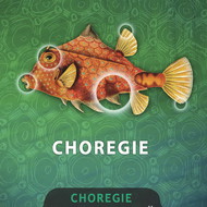 Choregie