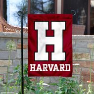 KARMINA ŠILEC NEXT YEAR ON HARVARD