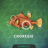 Choregie