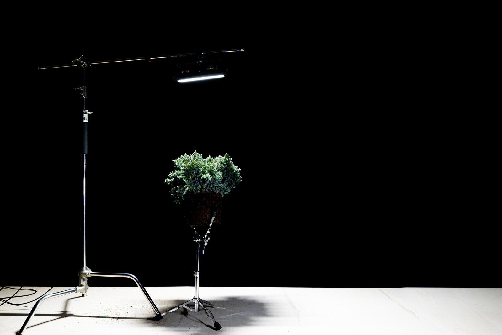 Karmina Šilec: DATA VRT