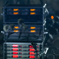 Karmina Šilec: DATA GARDEN <em>Photo: Dorian Silec Petek</em>