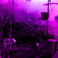 Karmina Šilec: DATA GARDEN <em>Photo: Dorian Silec Petek</em>