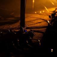 Karmina Šilec: DATA GARDEN