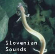 Slovenski zvoki